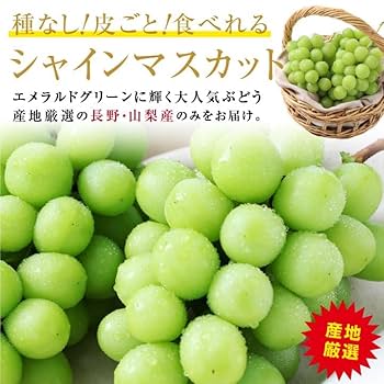 Amazon.co.jp: 山下屋荘介 長野産 蔵出しシャインマスカット 秀